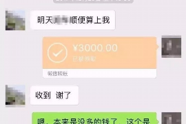 百色百色的要账公司在催收过程中的策略和技巧有哪些？